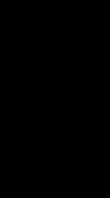 Black Block